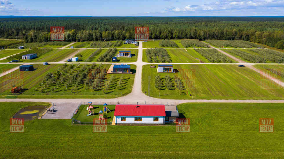 Фото описания проекта