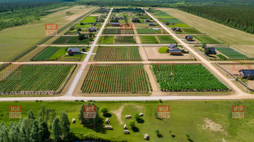 Фото описания проекта