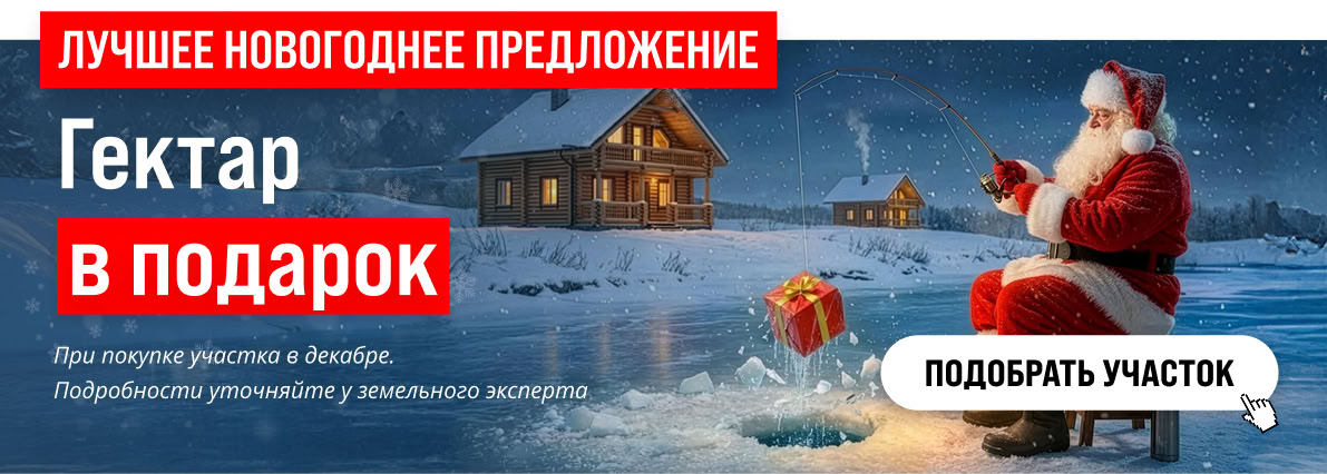 Специальное предложение